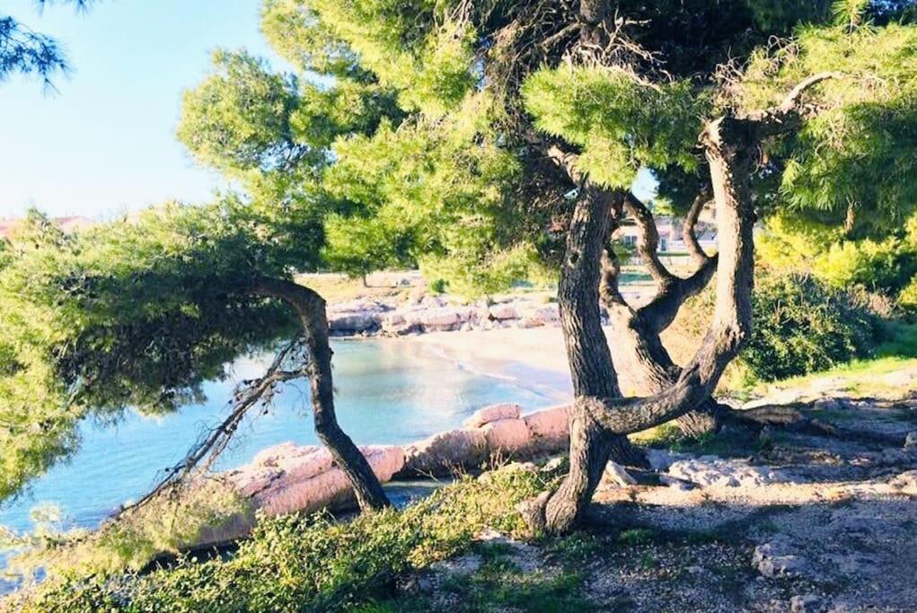 Appartement Right By The Sea • Les Embruns à Martigues Extérieur photo